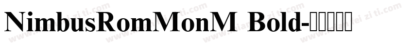 NimbusRomMonM Bold字体转换